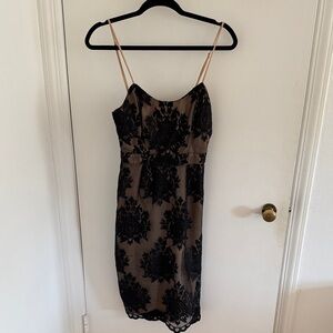 Forever 21 Black and Tan Lace Midi Dress